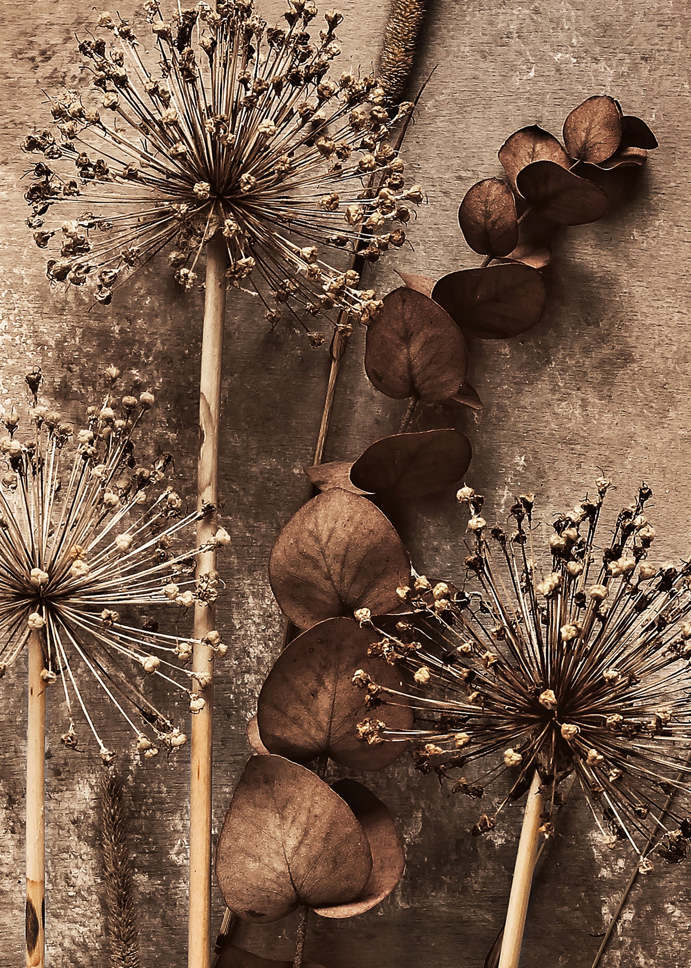 Canvastavla - Art of Flowers