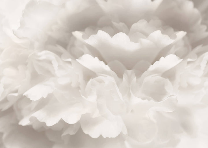 Canvastavla - Peony Magda