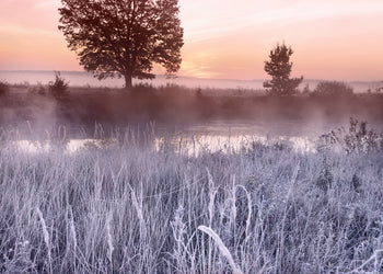 Canvastavla - Frost Glow