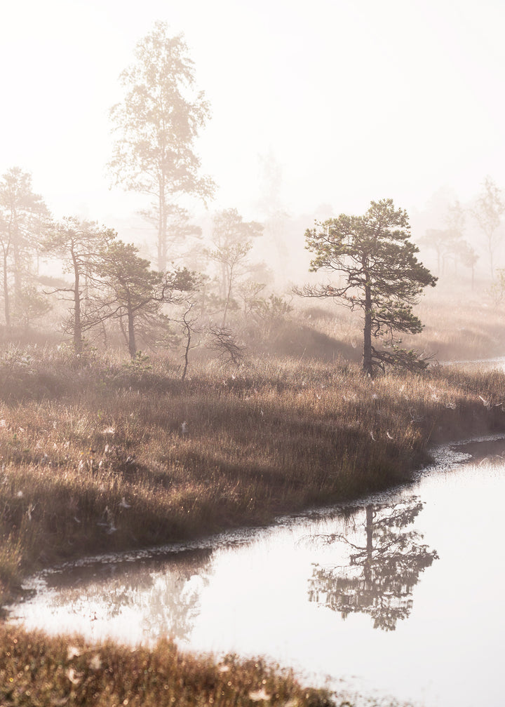 Ljuddämpande tavla - Pine Trees