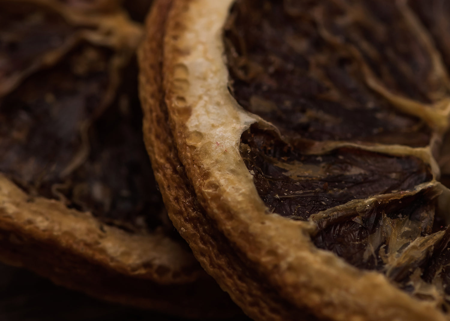 Canvastavla - Dried Delight