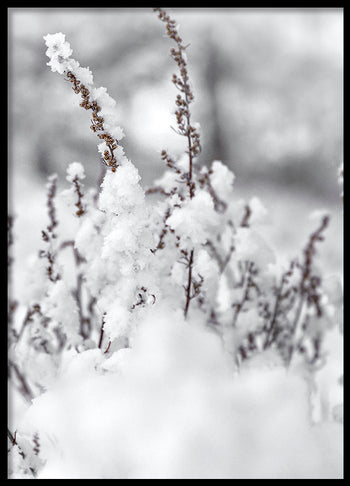 Poster - Winter Landscape