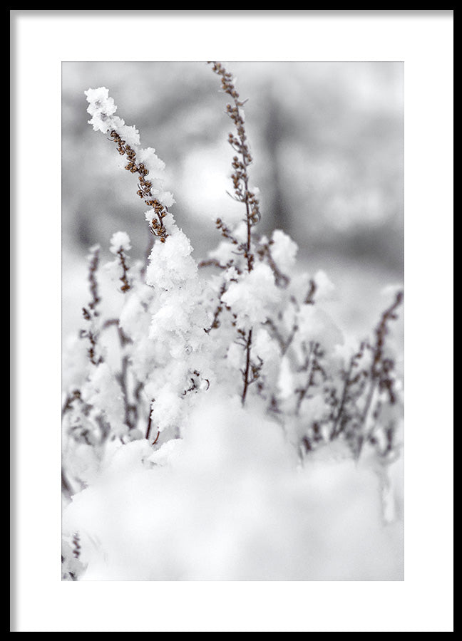 Poster - Winter Landscape
