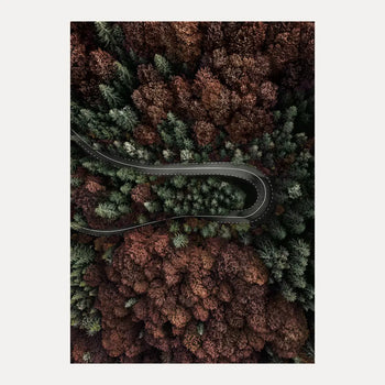 Poster - Charm of Autumn