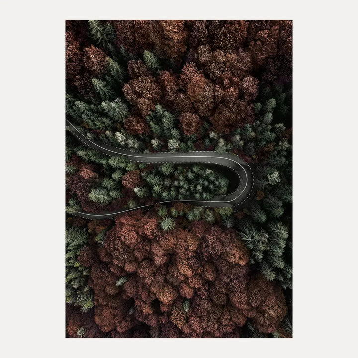 Poster - Charm of Autumn