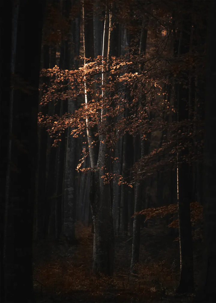 Poster - Golden Tree