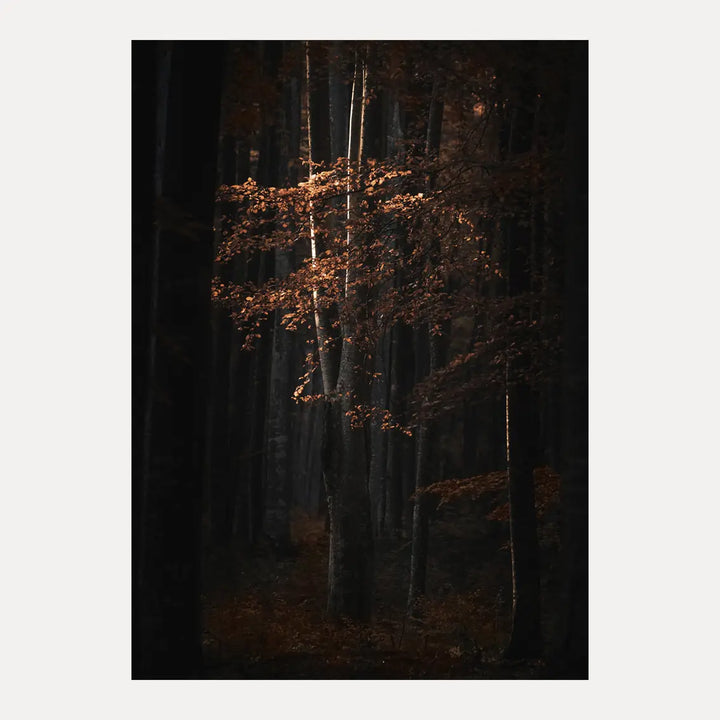 Poster - Golden Tree