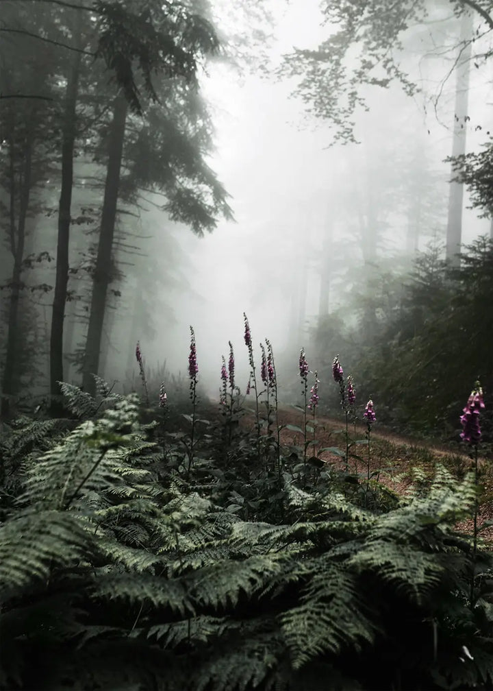 Poster - The Forest Path