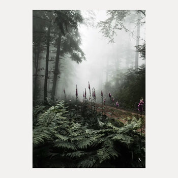 Poster - The Forest Path