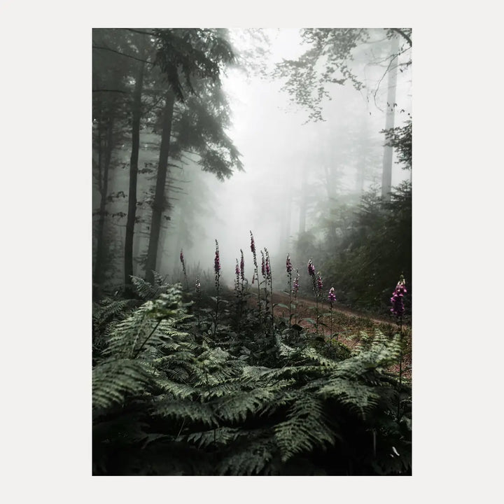 Poster - The Forest Path