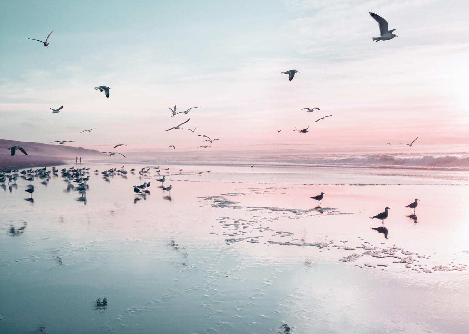Canvastavla - Birds and pink sunset