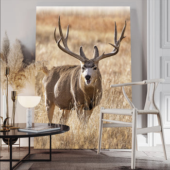 Canvastavla - Antler