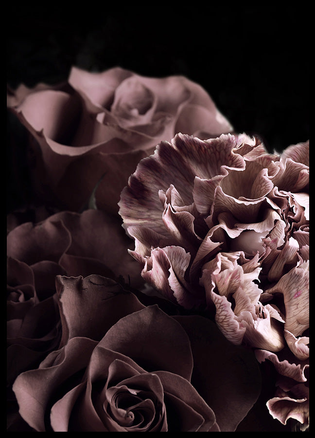 Poster - Treasure