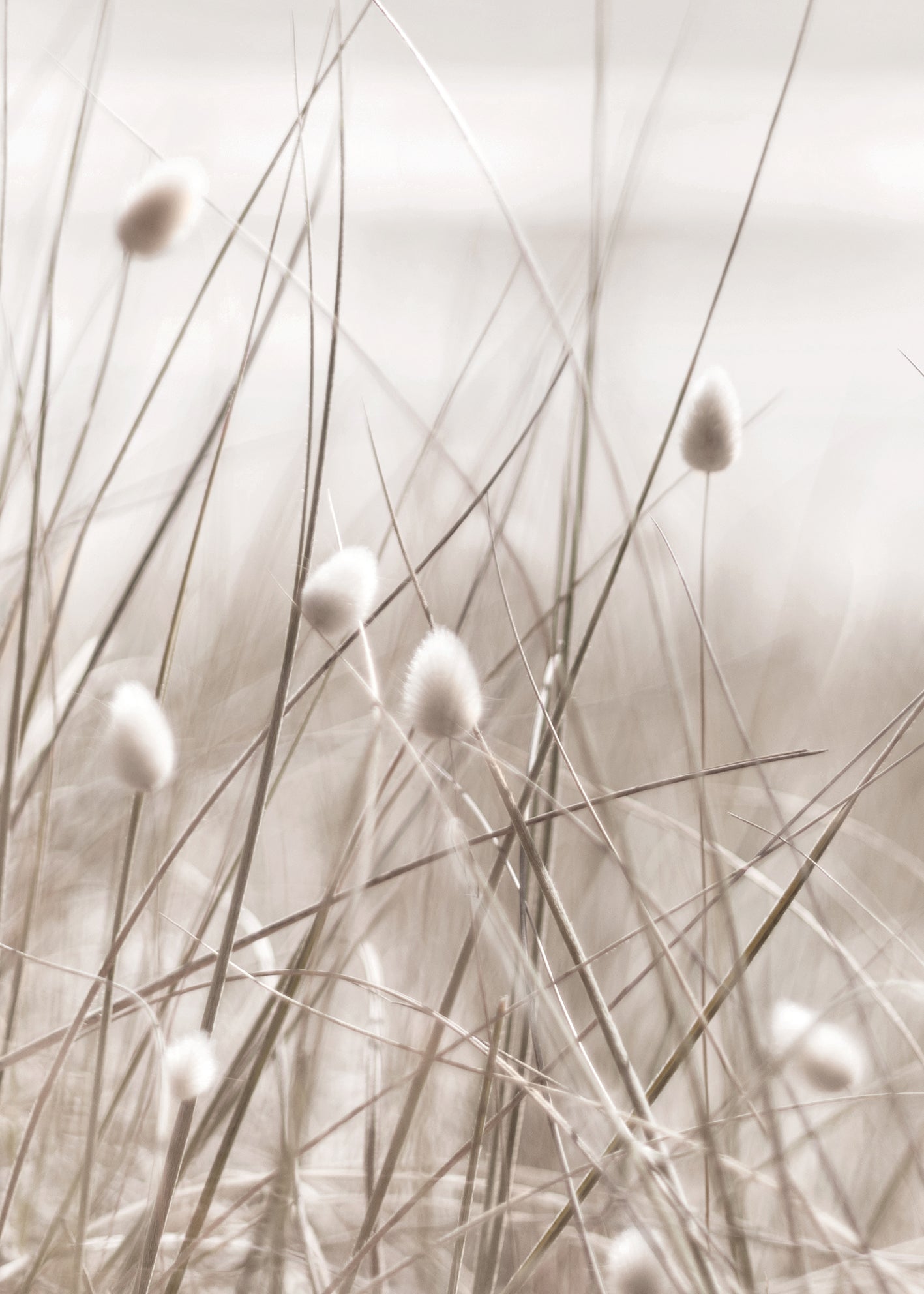 Canvastavla - Relaxing View
