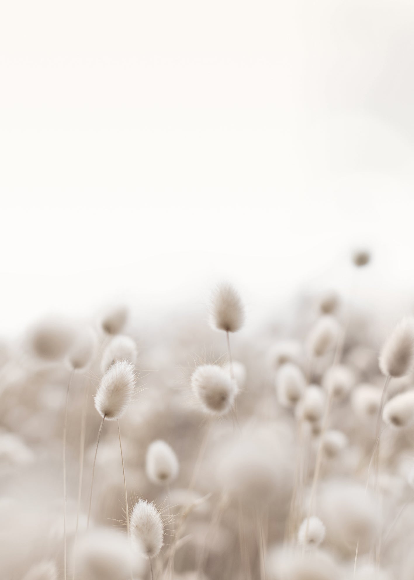 Canvastavla - Cloudy