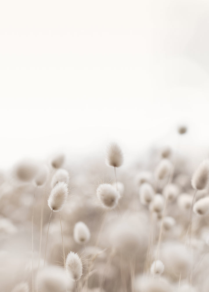 Canvastavla - Cloudy