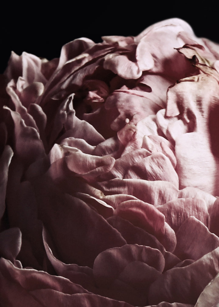 Canvastavla - Choice