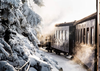 Canvastavla - Winter Journey