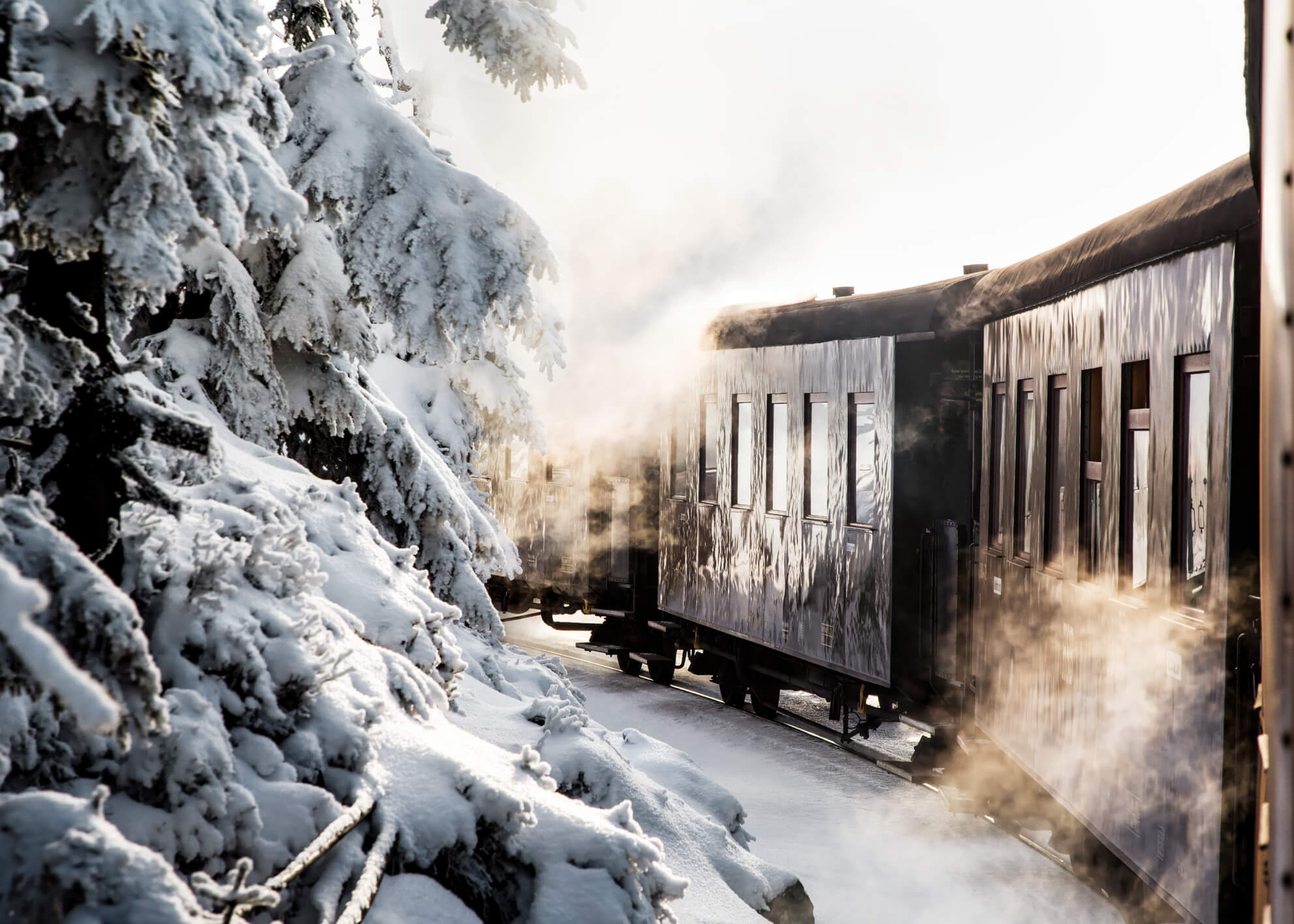 Canvastavla - Winter Journey