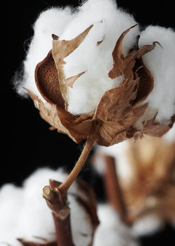 Ljuddämpande tavla - Nougat