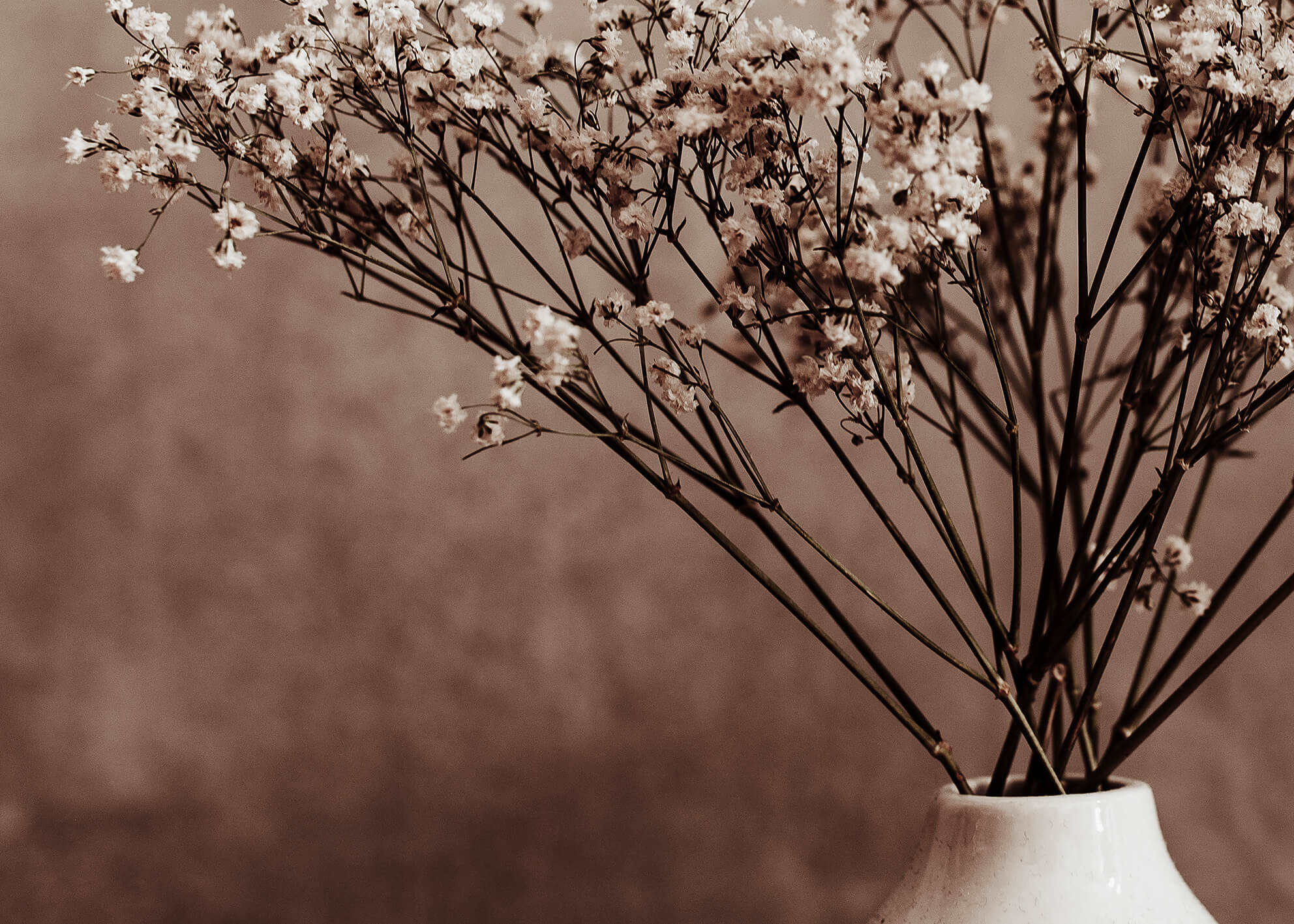 Canvastavla - Dried Twig flower