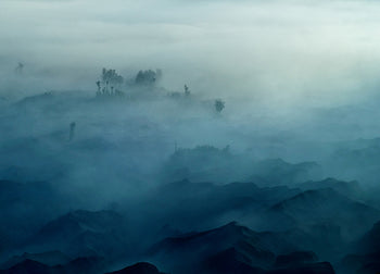 Canvastavla - Misty Morning