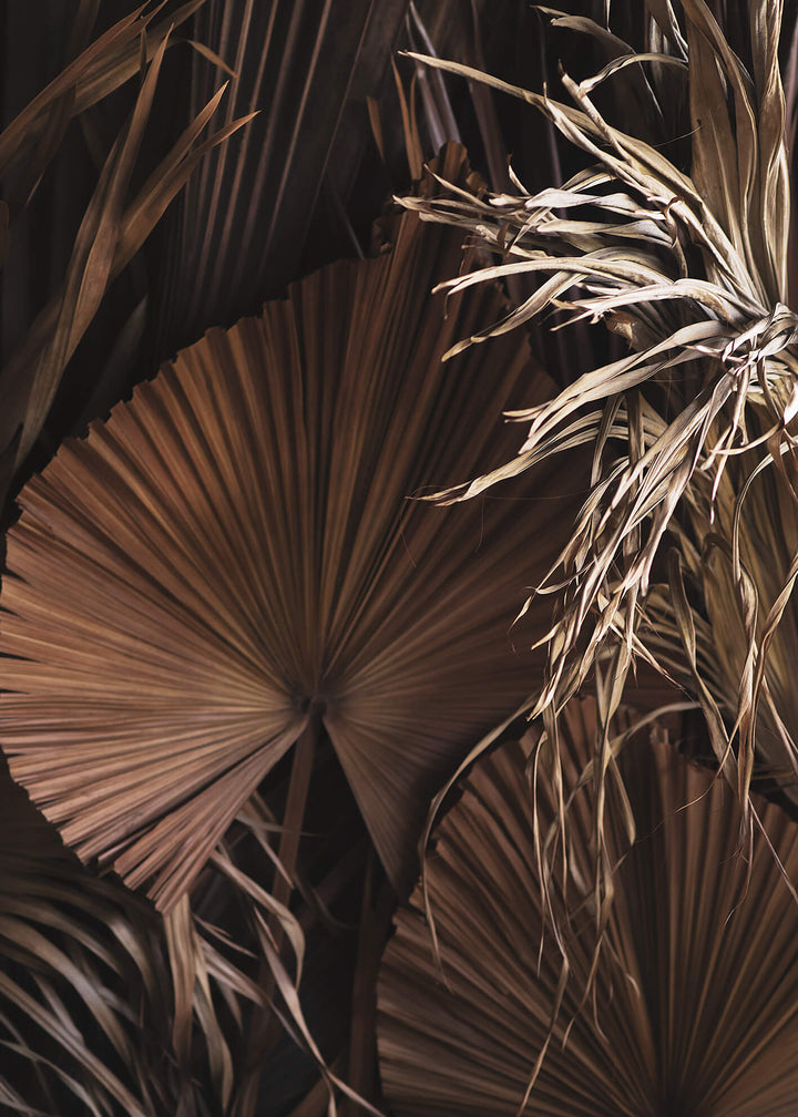 Canvastavla - Dried Tropical leaves