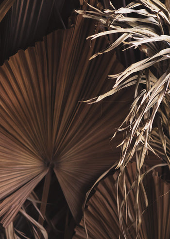 Canvastavla - Dried Tropical leaves
