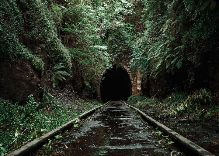 Canvastavla - Nature's Overpass