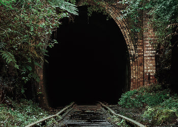 Canvastavla - Nature's Overpass