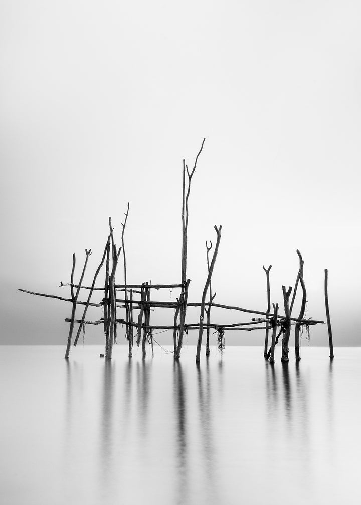 Canvastavla - Cranes in Sea