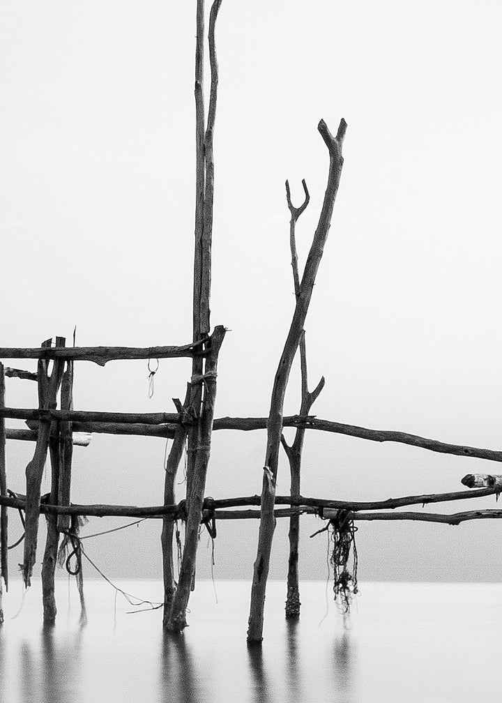 Canvastavla - Cranes in Sea