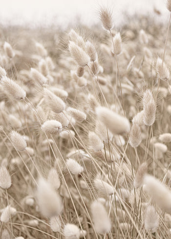 Canvastavla - Wind Fields