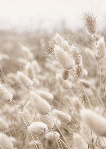 Canvastavla - Wind Fields