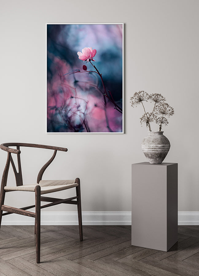 Poster - Wild rose