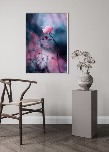 Poster - Wild rose