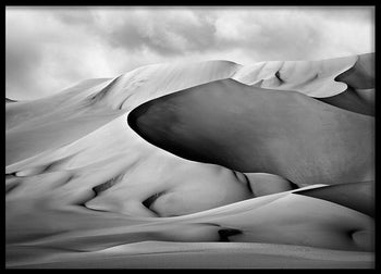 Poster - Mojave Desert