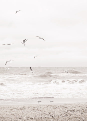 Canvastavla - Soar Over The Sea