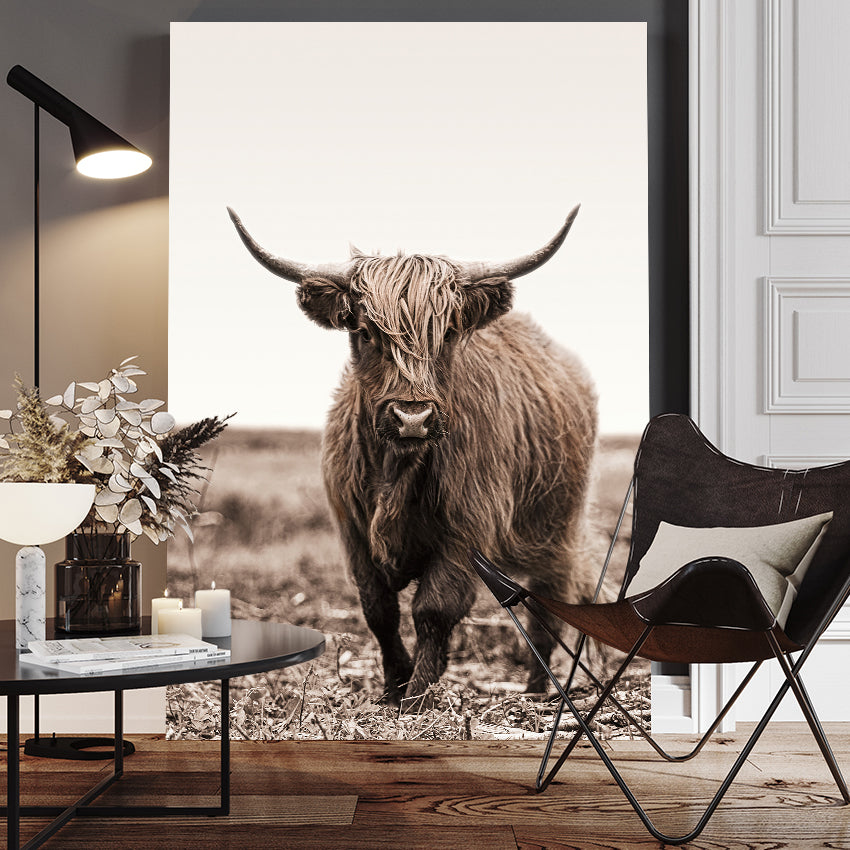 Canvastavla - Highland Cattle