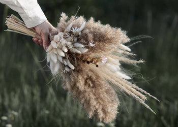 Canvastavla - Plants and Flowers