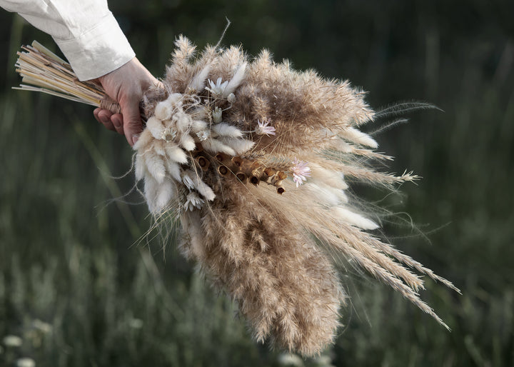 Canvastavla - Plants and Flowers