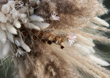 Canvastavla - Plants and Flowers