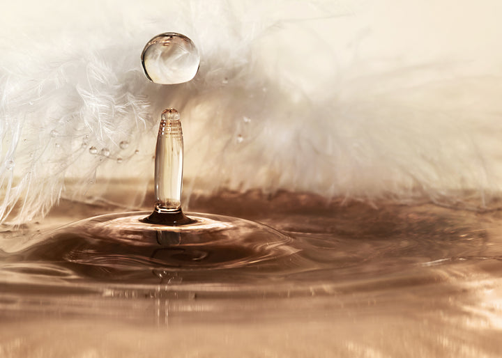 Canvastavla - Serene Waterdrop