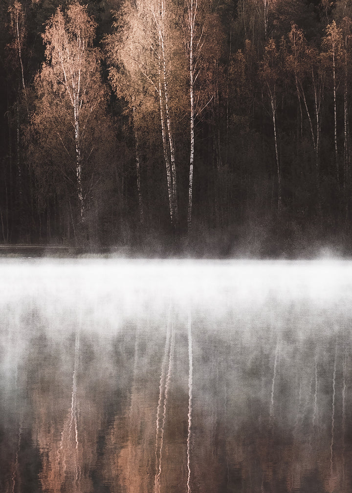 Canvastavla - Birch Trees