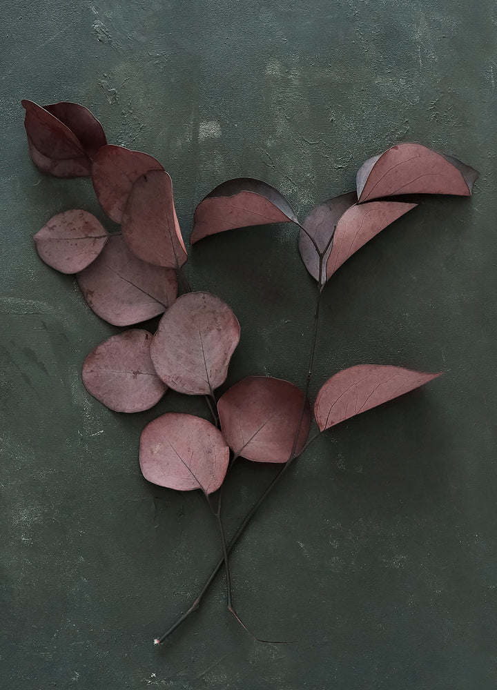 Canvastavla - Red Leaves