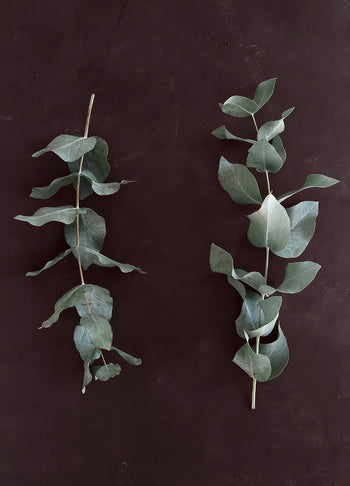 Canvastavla - Green Branches