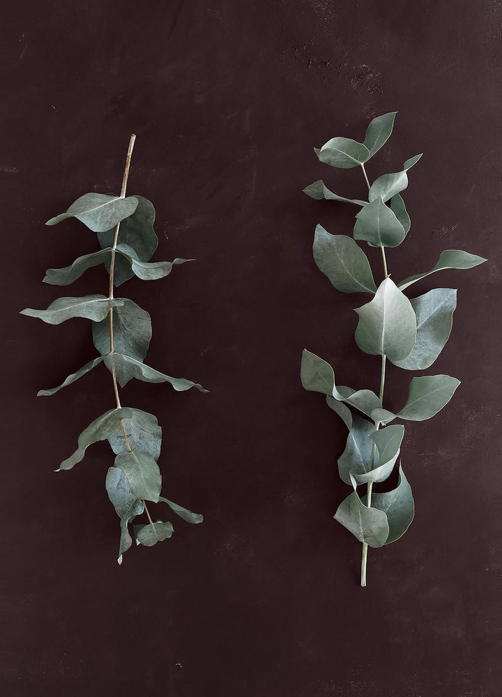 Canvastavla - Green Branches