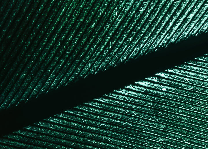 Canvastavla - Green Feather