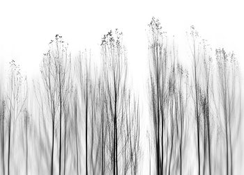 Canvastavla - Gränslöst