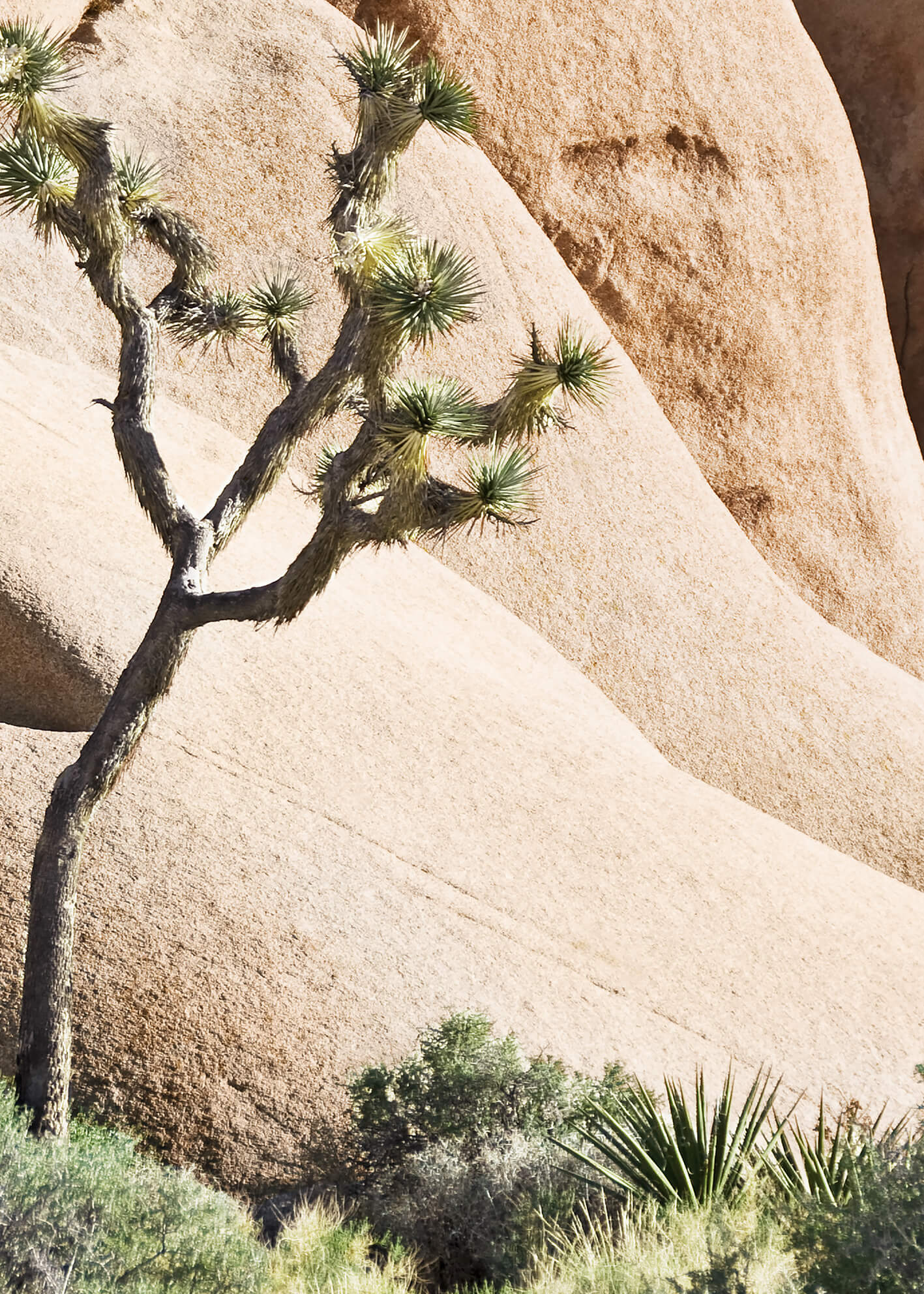 Canvastavla - Desert Rocks